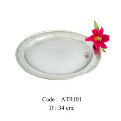 Code: ATR-101